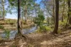 345 Woolleys Road, Lonnavale, Tas 7109-Image