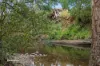 345 Woolleys Road, Lonnavale, Tas 7109-Image