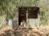 3450 Rushes Creek Road, Carroll, NSW 2340-Image