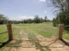 3450 Rushes Creek Road, Carroll, NSW 2340-Image