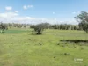 3450 Rushes Creek Road, Carroll, NSW 2340-Image