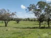 3450 Rushes Creek Road, Carroll, NSW 2340-Image