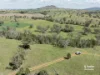 3450 Rushes Creek Road, Carroll, NSW 2340-Image