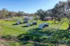 347 Warrah Ridge Road, Quirindi, NSW 2343-Image