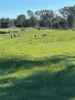 3473 Bindoon-Moora Road, Mogumber, WA 6506-Image