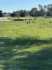 3473 Bindoon-Moora Road, Mogumber, WA 6506-Image