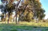 3473 Bindoon-Moora Road, Mogumber, WA 6506-Image