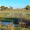 3473 Bindoon-Moora Road, Mogumber, WA 6506-Image