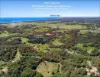 349 Pottsville Road, Sleepy Hollow, NSW 2483