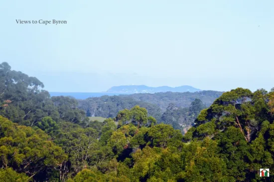 349 Pottsville Road, Sleepy Hollow, NSW 2483-Image