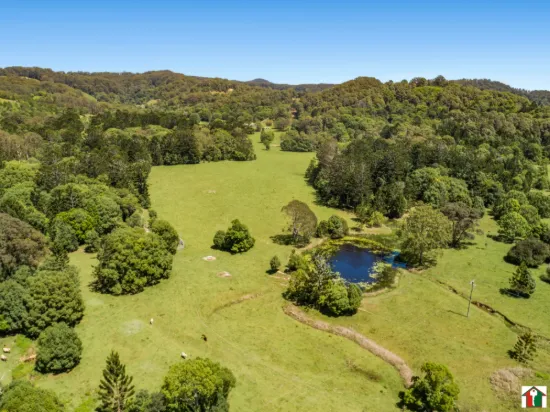 349 Pottsville Road, Sleepy Hollow, NSW 2483-Image