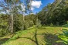 349 Ringtail Creek Road, Ringtail Creek, Qld 4565-Image