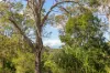 349 Ringtail Creek Road, Ringtail Creek, Qld 4565-Image