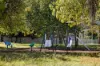 34A Bullock Circuit, Kambah, ACT 2902-Image