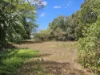 35-37 Seventh Avenue, Home Hill, Qld 4806-Image