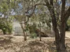 35-37 Seventh Avenue, Home Hill, Qld 4806-Image
