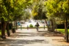 35/69 Milligan Street, Perth, WA 6000-Image