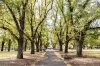 35 Argyle Place South, Carlton, Vic 3053-Image