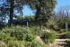 35 Attunga Road, Newport, NSW 2106-Image