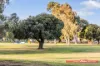 35 Barbrook Way, Warnbro, WA 6169-Image