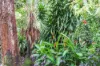 35 Beard Road, Humpty Doo, NT 0836-Image