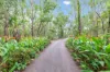 35 Beard Road, Humpty Doo, NT 0836-Image