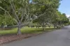 35 Brentnall Street, Norman Park, Qld 4170-Image