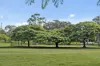 35 Brentnall Street, Norman Park, Qld 4170-Image
