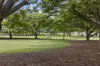 35 Brentnall Street, Norman Park, Qld 4170-Image