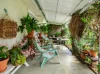 35 Bridge Street, Mount Lofty, Qld 4350-Image