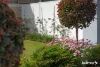 35 Brushbox Street, Bahrs Scrub, Qld 4207-Image