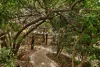 35 Buderim Street, Manly, Qld 4179-Image