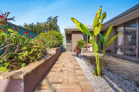 35 Cara Street, Aspley QLD 4034-Image