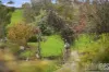 35 Caveside Road, Mole Creek, Tas 7304-Image