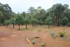 35 Charcoal Road, Morangup, WA 6083-Image