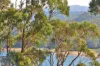 35 Cocora Street, Eden, NSW 2551-Image
