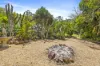 35 Dorly Street, Lakes Creek, Qld 4701-Image