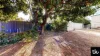 35 Dundas Street, Emerald, Qld 4720-Image