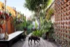 35 Elgin Street, Carlton, Vic 3053-Image