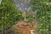 35 Ellis Road, Romaine, Tas 7320-Image