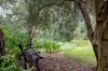 35 Frances Road, Gelorup, WA 6230-Image
