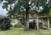 35 Frederick Street, Newtown, Qld 4305-Image