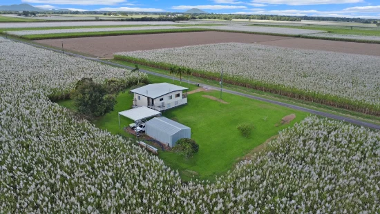 35 Gedges Crossing Road, Ingham, Qld 4850