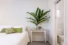 35 Glenn Avenue, Northmead, NSW 2152-Image