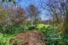 35 Gunn Street, Devonport, Tas 7310-Image