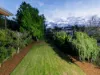 35 Hetherington Street, Herston, Qld 4006-Image