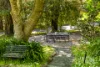35 Hill Street, Crafers West, SA 5152-Image