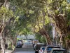 35 Iris Street, Paddington, NSW 2021-Image