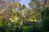 35 Jarrah Street, Wodonga, Vic 3690-Image