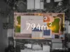 35 Karen Street, Jacobs Well, Qld 4208-Image